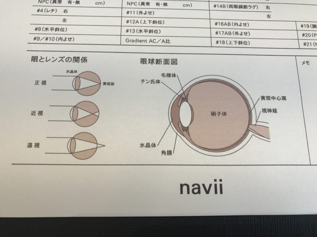 カルテ