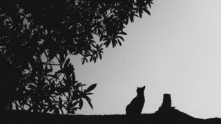 刺さるタイトルをつけようキャッチコピー本3選