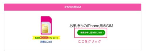 iPhone用sim